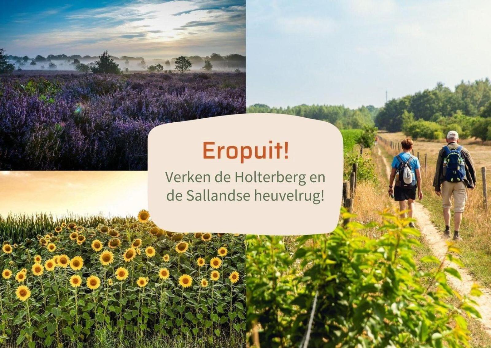 Vakantiepark Hoelte Rijssen Exterior foto